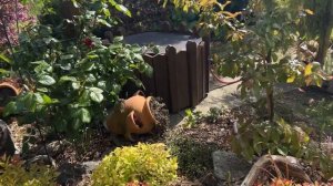 #33 ☘️ Сад Natalie Janssen в Германии ☘️Откровенно о блогерс?