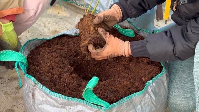 Посадка голубики в мешки и контейнеры смотреть онлайн