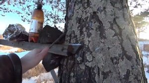 Нельзя вбивать гвозди в живое дерево !! Этим вы уничтож