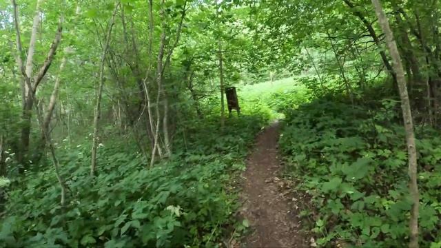 2024 SportMarafonFest || Никола-Ленинвец || 2 день, ЭКСПО, ORIENT FUN, забег 100 костров смотреть онлайн