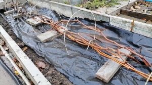 как укрыть виноград на зиму - сухой способ