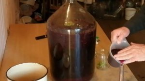 Домашнее вино из черники.  Часть 2 . Сбраживания сусла