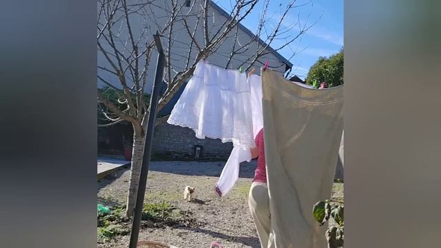 осенние выходные на даче во Франции | жара в конце октя