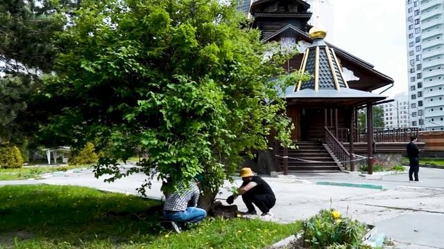 Участие Компании Секвойя в передаче Дачная Академия 20 смотреть онлайн