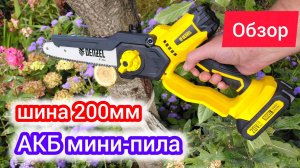 Обзор аккумуляторной цепной мини-пилы DENZEL СCS-200BL | садовый набор часть 2
