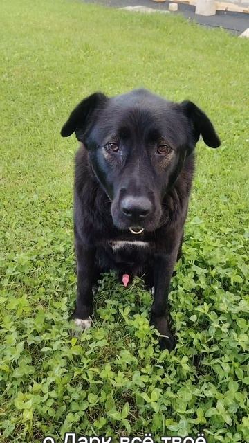 Борьба за бутерброд