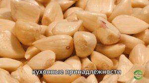 Как правильно есть ЧЕСНОК: 8 ошибок, которые стоит ИСКЛ
