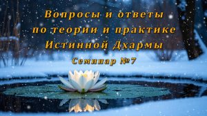 Вопросы и ответы по теории и практике Истинной Дхармы. Семинар №7