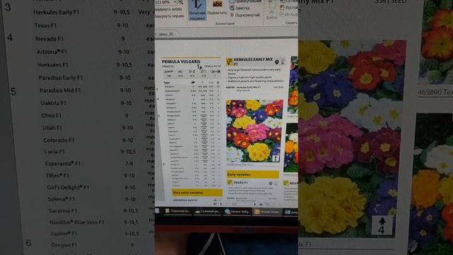 Как заработать на примуле: Примула лучшие виды и сорта смотреть онлайн
