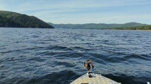 Неман-400 pro мотор Marine Rocket MR30