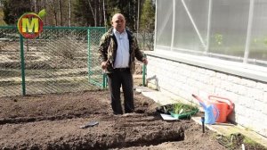 Тонкости Посадки ЛУКА ПОРЕЯ в Открытый Грунт