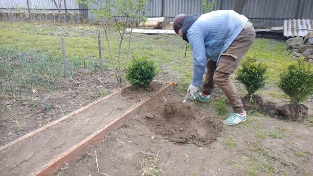 Green fense. Как сделать зеленый забор. Изгородь. Serhulya TV смотреть онлайн