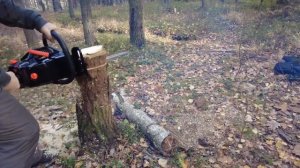 Мощнее 🤯 Чем STIHL МС 260 Бензопила Днипро-М Улучшеная ✅