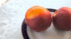 Нектарин Старк Ред Голд (Stark® RedGold) -середньо - пізній те