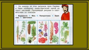 Разнообразие растений 1 задание. Окружающий мир 3 клас?