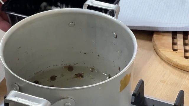 вешенки солёные за 24 часа смотреть онлайн