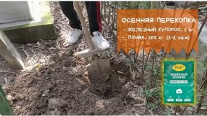 Железный купорос ☘️ Инструкция как применить в саду