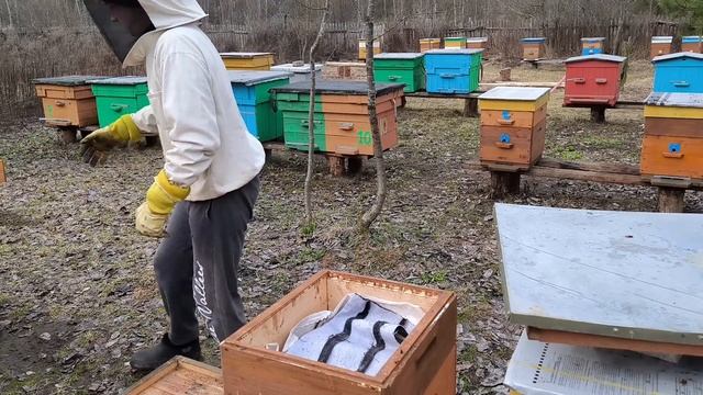 результат обработки пчёл щавелевой кислотой🤔чем обр смотреть онлайн