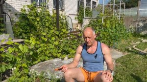 Посадка винограда в Подмосковье. Вот сейчас пора! Чем ?