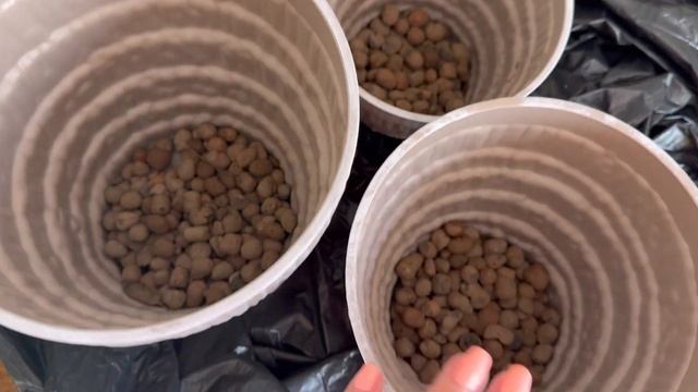 🌿 Распаковка с TEMU, пересадка цветов и мой вечерний ух? смотреть онлайн