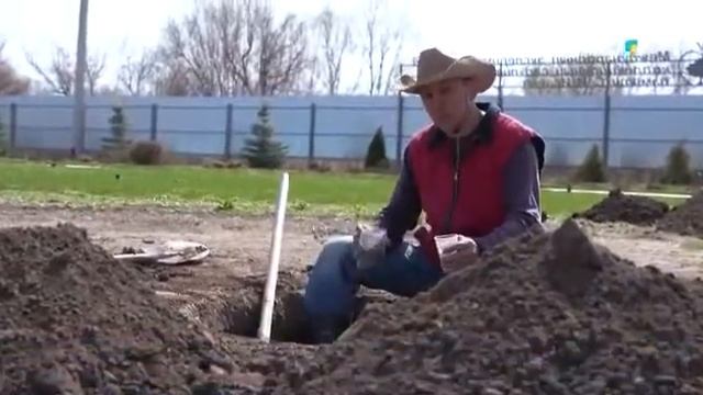 Как правильно посадить яблоню. смотреть онлайн