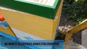 Вывод второй матки - самый простой способ без труда и п