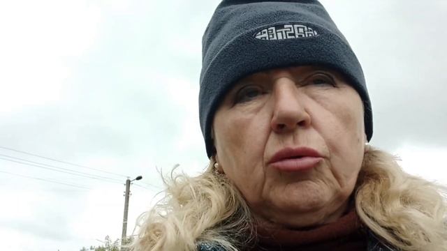 Как ухаживать и размножать примулы. Виды примул, уход ? смотреть онлайн