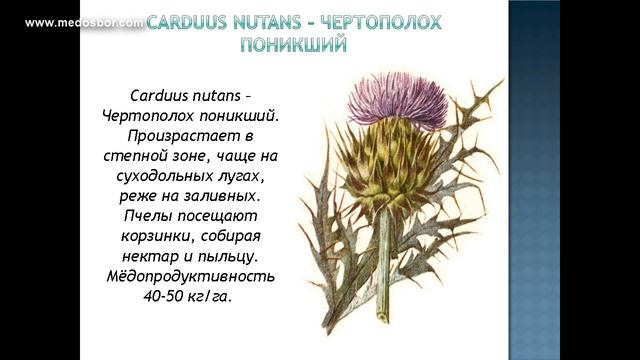 Занятие №7-1. Курсы В.Г. Кашковского.