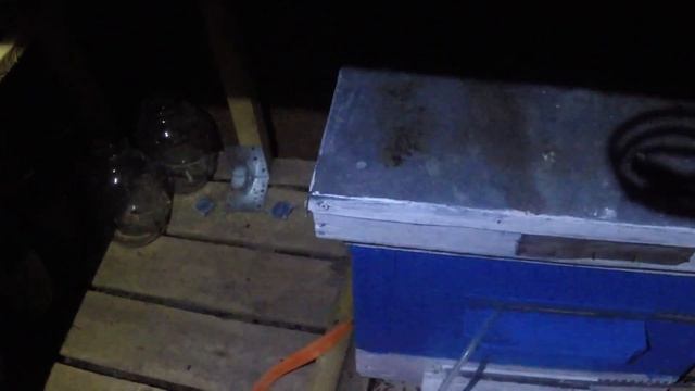 трубочка в леток улья, и не надо лазить в подпол провер