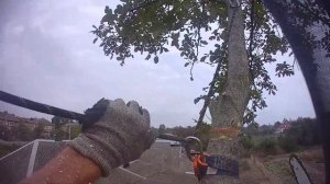 Удаление старого дерева | Спил деревьев в Краснодарск?