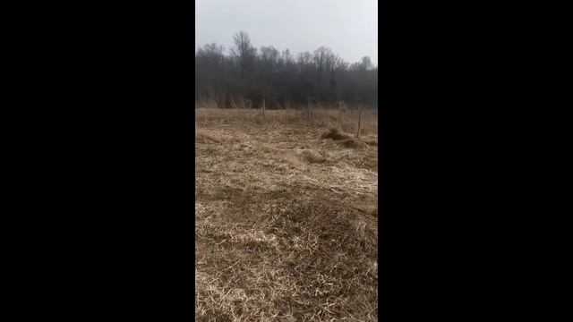 апрель 14, карника Смоленская обл смотреть онлайн