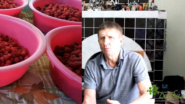 Витаминный конвейер.