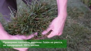 Подъём участка на 40 см, осушение и укладка газона