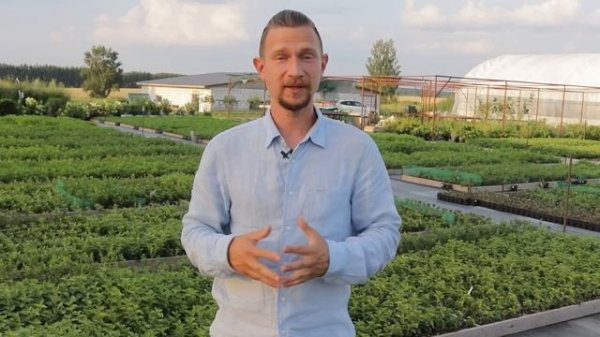 Удобрение убийца - Осмокот. Инструкция по применению. ?