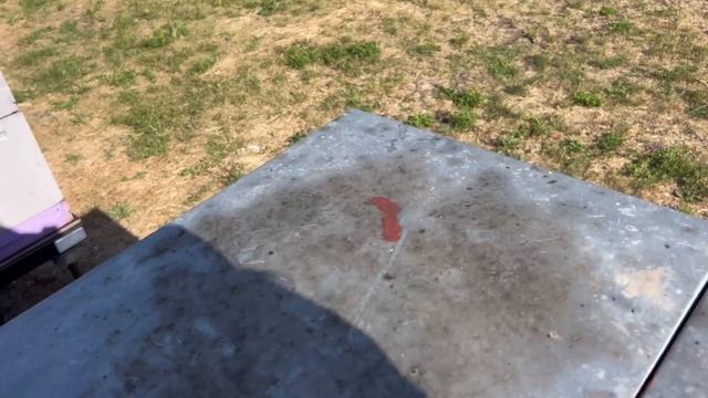 Медосбор с липы 2025