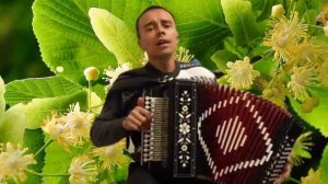 Душевная песня под гармонь Отцвела липа белая