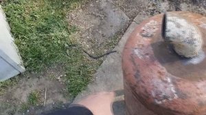 Гидроциклон своими руками.