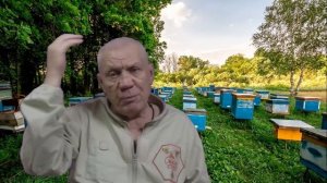 Как определить гнилец у пчел? Как и Чем лечить ГНИЛЕЦ у