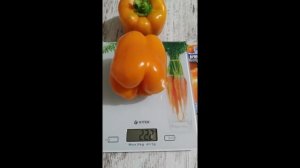 Перец Оранжевый бык - урожай 2020.