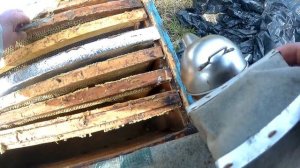 Холодная весна\ Пчелы весной\Что делать?