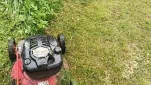 Как косить траву газонокосилкой.