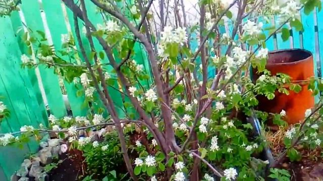 Влог с дачи///Брекеты - это не круто// Прибираюсь на дачк