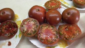 ТОМАТ «МИКАДО ЧЕРНЫЙ». №221 В. ДЕГУСТАЦИЯ.