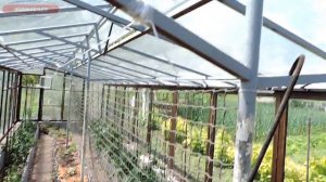 Простая вентиляция теплицы