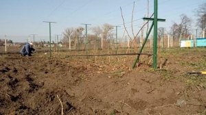 Автоматический микрополив своими руками.