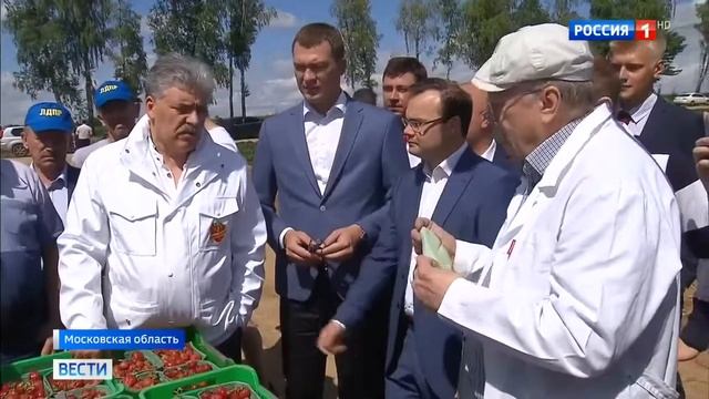 Жириновский съездил за клубникой к Грудинину - Вести 24 смотреть онлайн