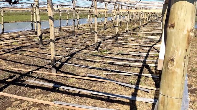 Строим теплицу своими руками: инновации, проверенные ? смотреть онлайн