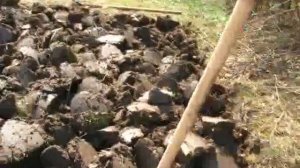 Как быстро вскопать огород своими руками