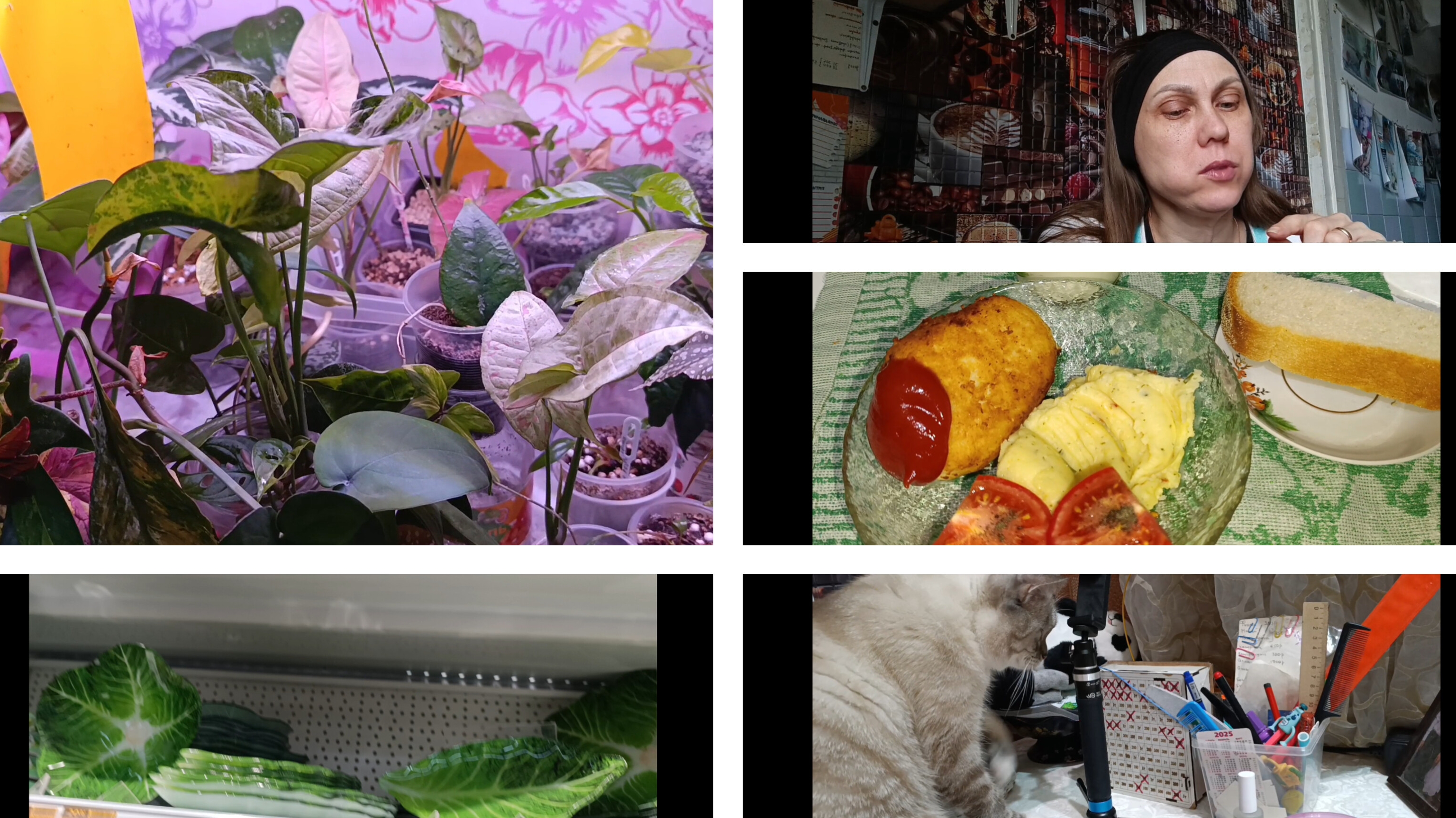 готовим/гуляем/ планируем МЕНЮ🥘🥘🥘🥘🥘👩🍳👩🍳👩🍳👩🍳👩🍳👩🍳 смотреть онлайн