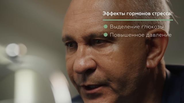 Стресс вызывает смерть. Принцип работы кортизола смотреть онлайн